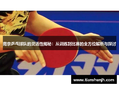南京乒乓球队的灵活性揭秘：从训练到比赛的全方位解析与探讨