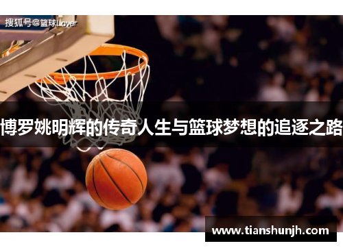 博罗姚明辉的传奇人生与篮球梦想的追逐之路