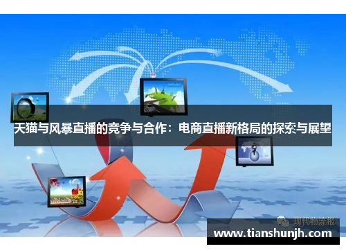 天猫与风暴直播的竞争与合作：电商直播新格局的探索与展望