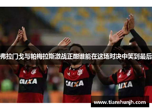弗拉门戈与帕梅拉斯激战正酣谁能在这场对决中笑到最后